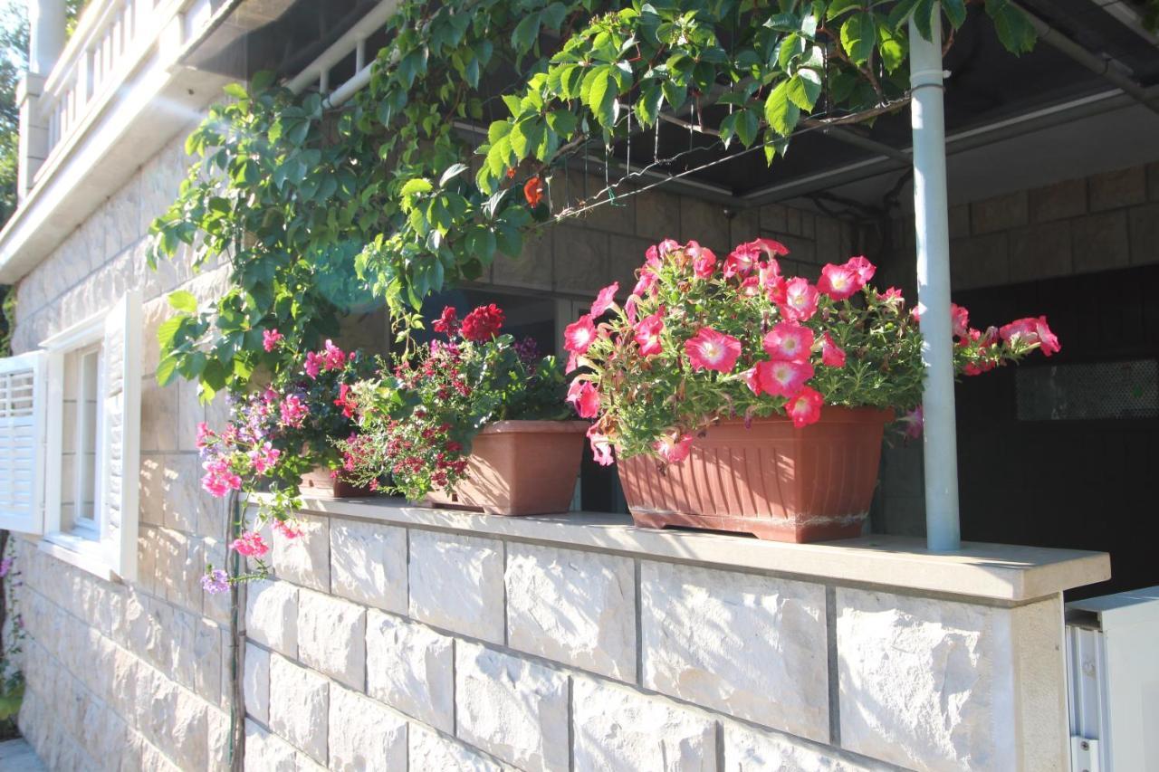 Apartment Ruzica Zrnovo Eksteriør bilde